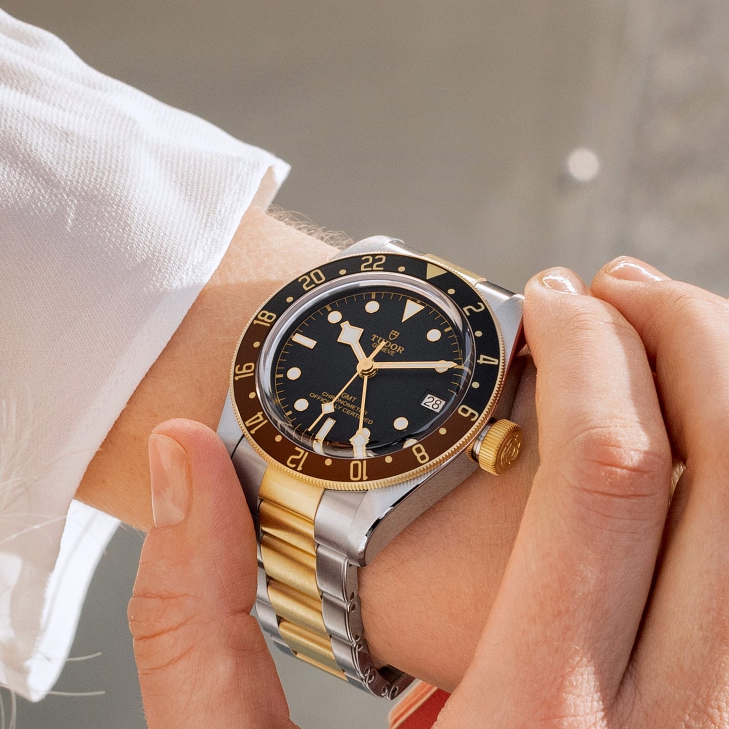 Tudor Black Bay GMT S&G, Stainless Steel and 18k Yellow Gold, 41mm, Ref# M79833MN-0001