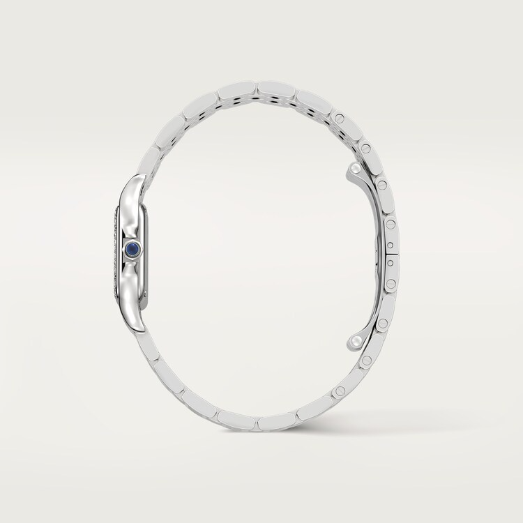 Unworn Cartier Panthère de Cartier Small, Stainless Steel, Diamonds, 23mm x 30mm, Ref# W4PN0016, box and papers