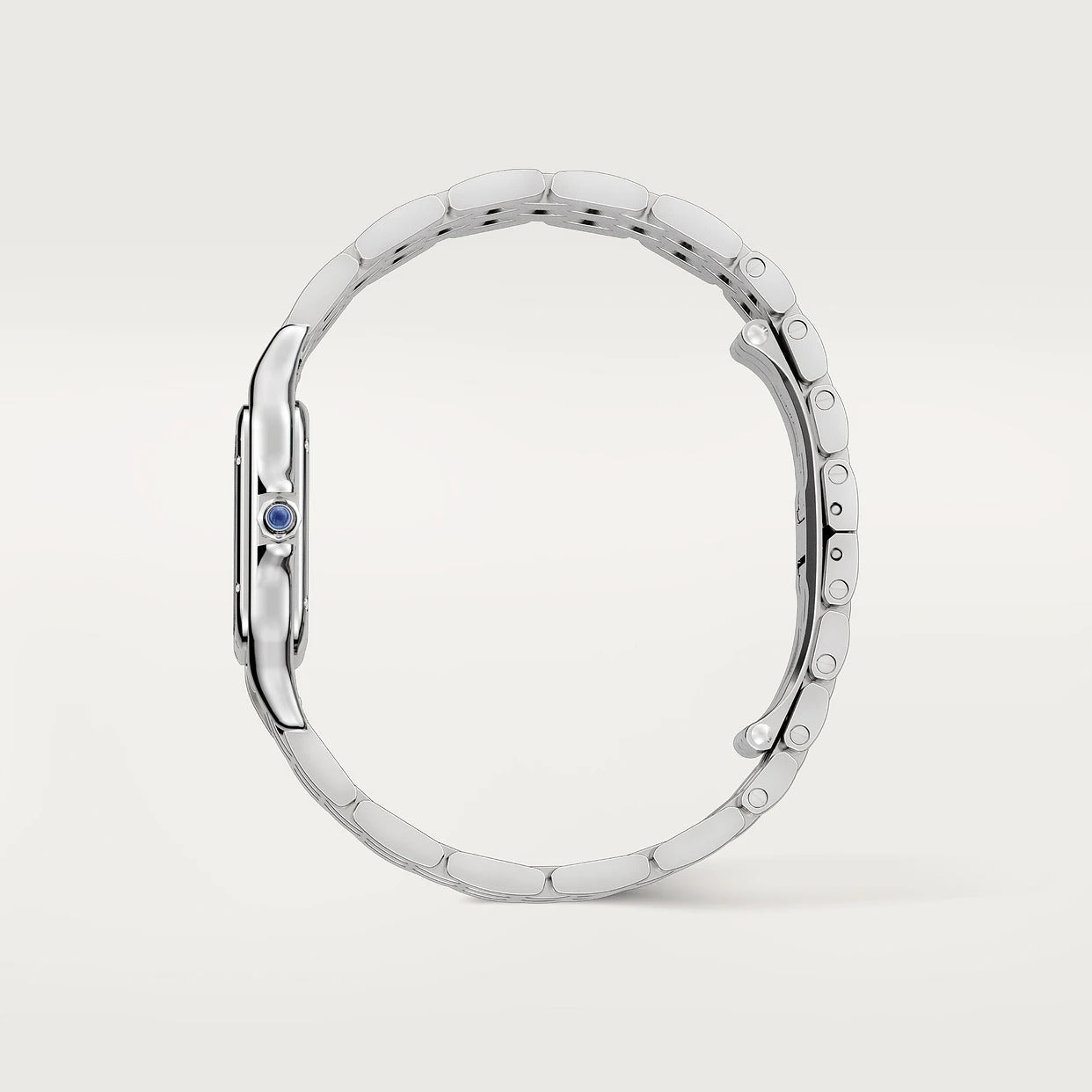Unworn Cartier Panthère de Cartier Medium, Stainless Steel, 27mm x 37mm, Ref# WSPN0015, box and papers
