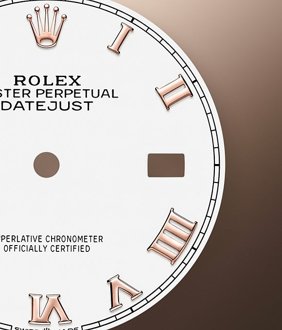 Rolex Datejust 36 Oystersteel and Everose gold Ref# 126231-0016