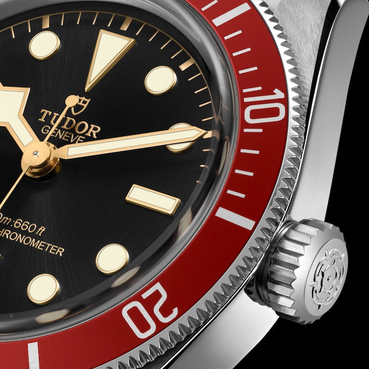 Tudor Black Bay, 41mm, Stainless Steel, Ref# M7941A1A0RU-0001