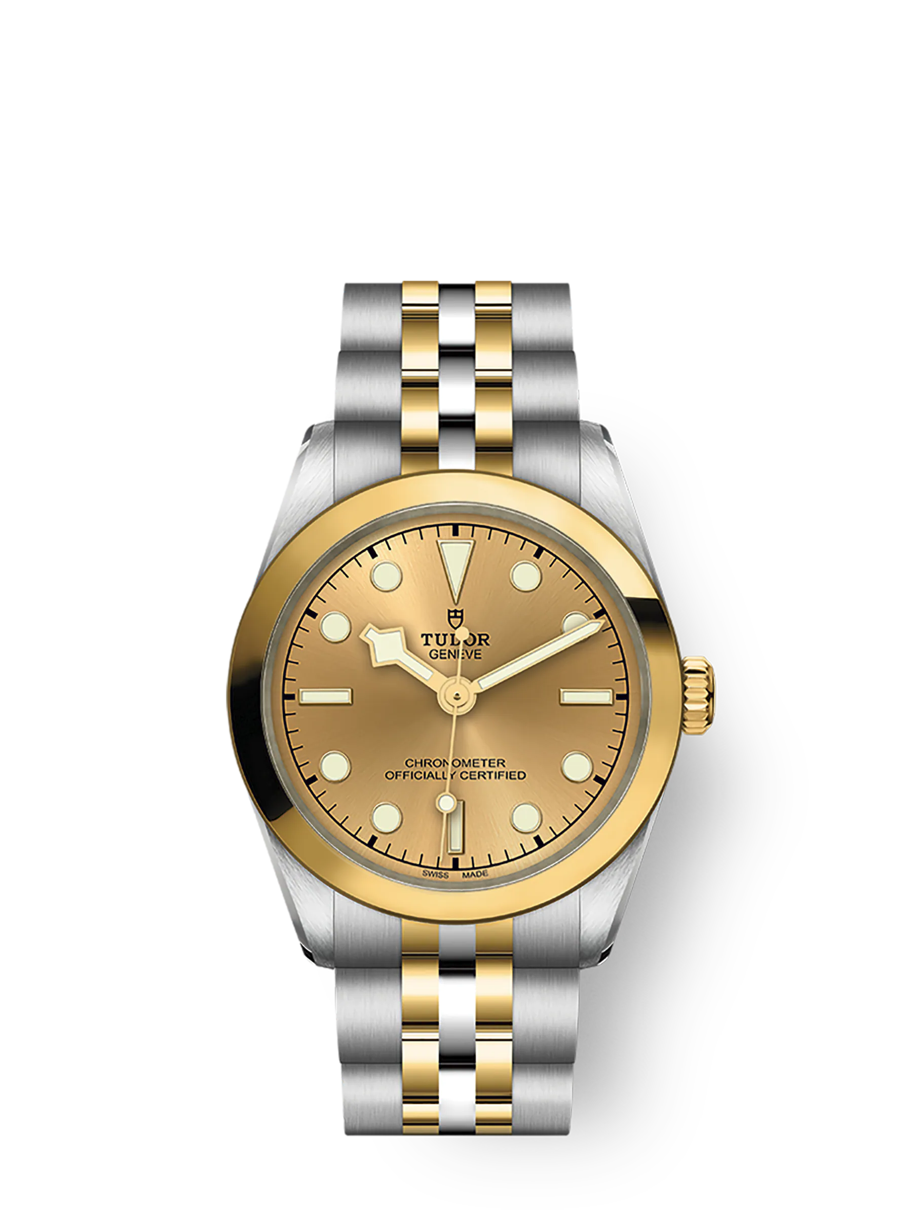 Tudor Black Bay 31 S&G, 316L Stainless Steel and 18k Yellow Gold, Ref# M79603-0005
