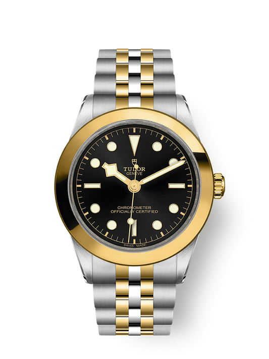 Tudor Black Bay 39 S&G, 316L Stainless Steel and 18k Yellow Gold, Ref# M79663-0001