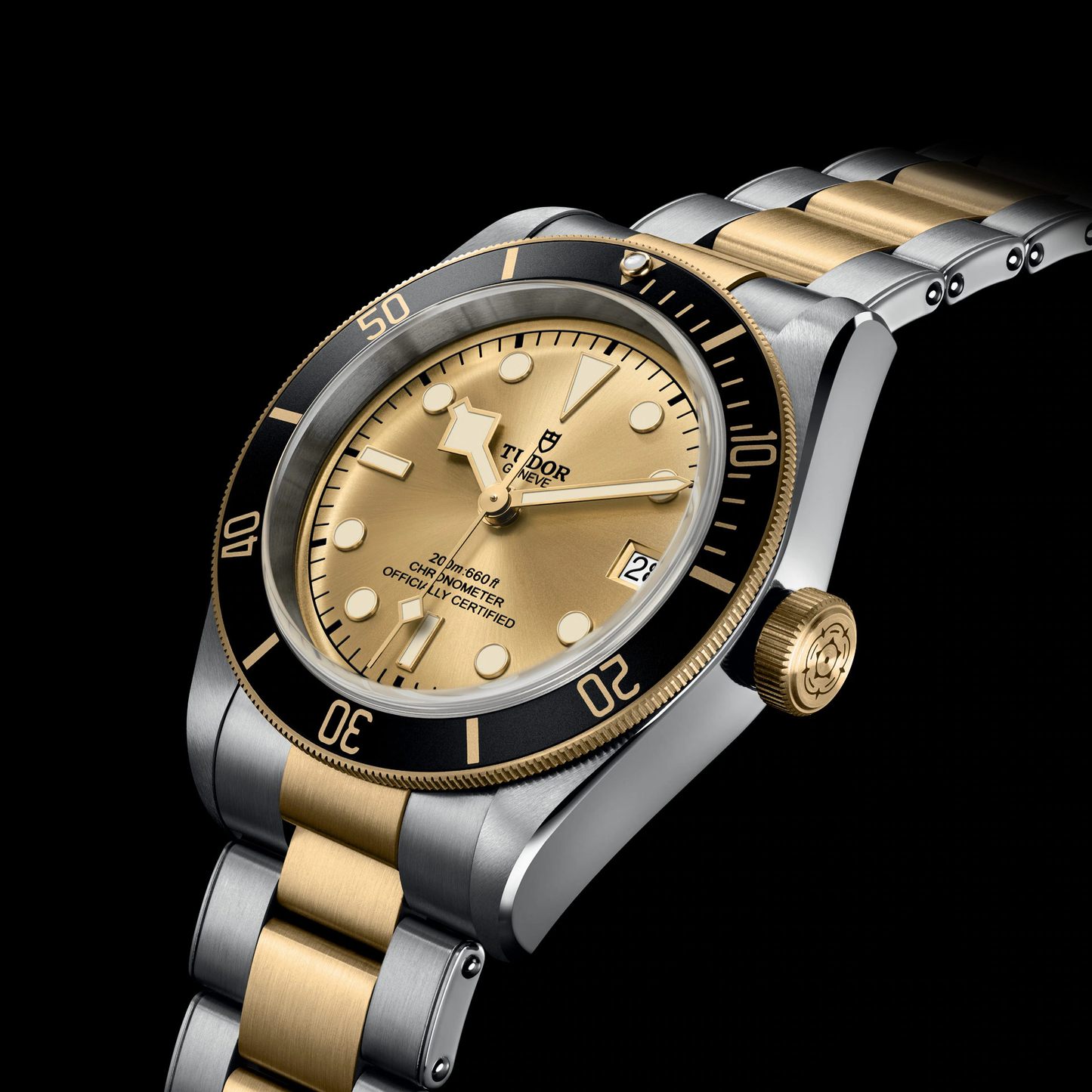 Tudor Black Bay S&G, 41mm, Stainless Steel and 18k Yellow Gold, Ref# M79733N-0004