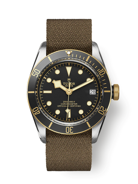 Tudor Black Bay S&G, 41mm, Stainless Steel and 18k Yellow Gold, Ref# M79733N-0005
